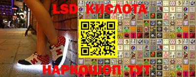 бошки Кандалакша