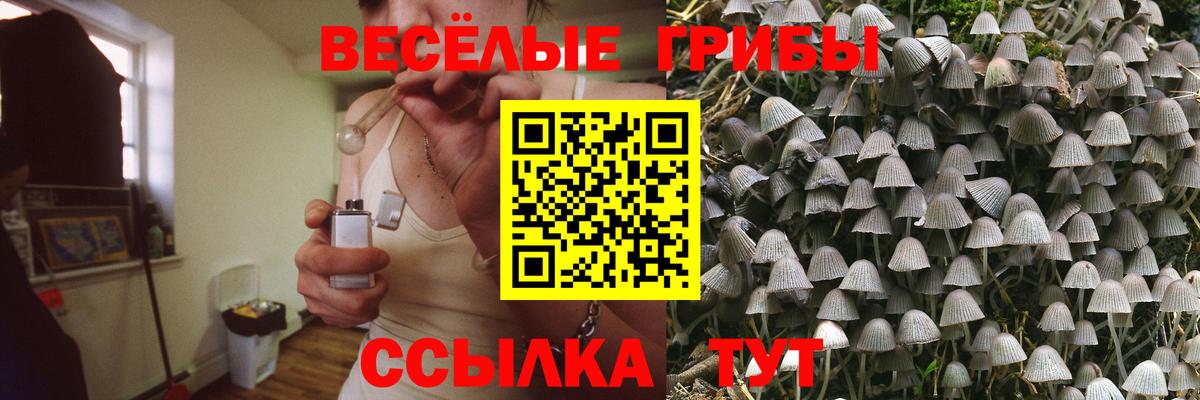 Псилоцибиновые грибы мухоморы Котлас